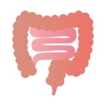 腸の画像